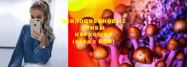 круглые Алзамай