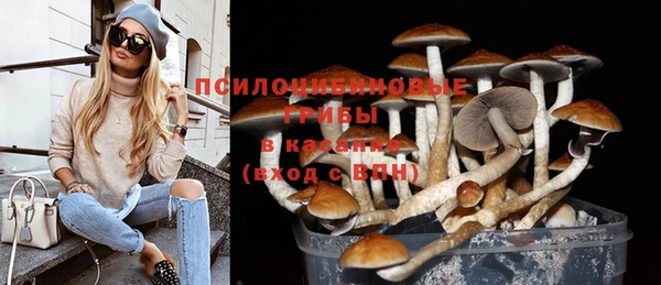 круглые Алзамай
