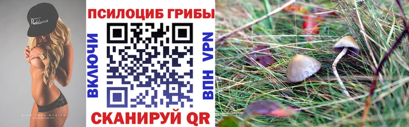 Псилоцибиновые грибы мухоморы  Купить  Канаш 