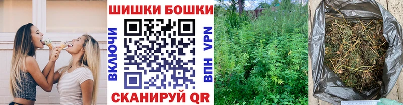 МАРИХУАНА план  Купить  Канаш 