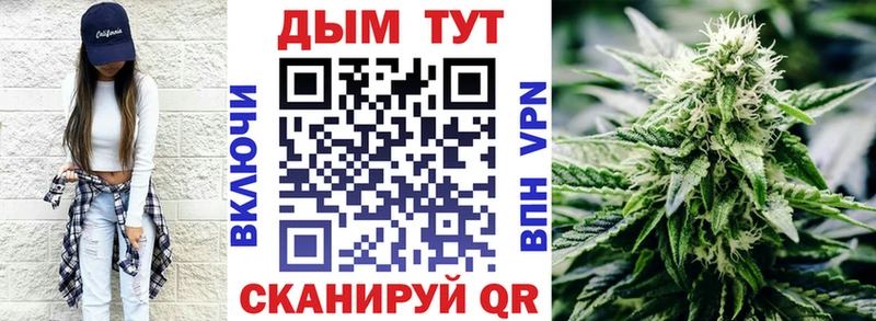 Каннабис индика Канаш